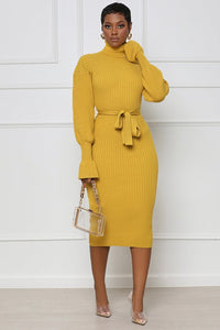 Beautiful Knit Long Sleeve Belted Sweater Dress