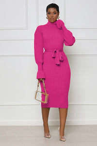 Beautiful Knit Long Sleeve Belted Sweater Dress