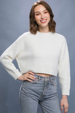 Wool Ivory Blend Cropped Sweater Top