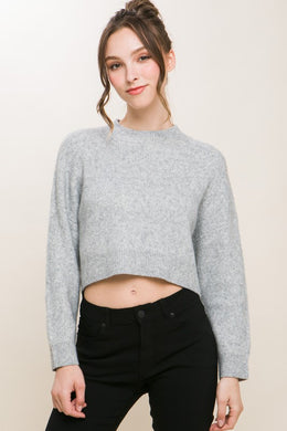 Wool Grey Blend Cropped Sweater Top