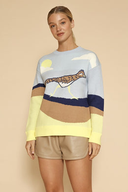 Roadrunner Knit Multi-Color Sweater