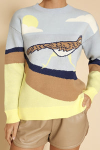 Roadrunner Knit Multi-Color Sweater