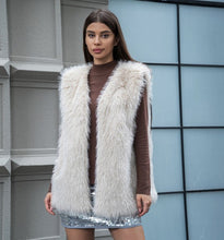 Load image into Gallery viewer, Plush Blue Fax Fur Sleeveless Cardigan Coat