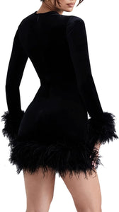 Winter Black Feathers Long Sleeve Mini Dress