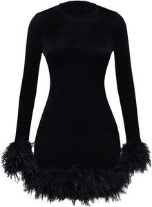 Winter Black Feathers Long Sleeve Mini Dress