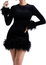 Load image into Gallery viewer, Winter Black Feathers Long Sleeve Mini Dress