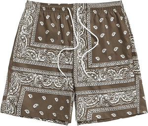 Men's Casual Drawstring Navy Blue Bandana Paisley Print Shorts