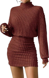 Purple Long Sleeve Turtle Neck Sweater Dress