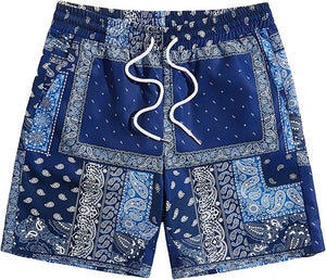 Men's Casual Drawstring Light Blue Bandana Paisley Print Shorts