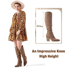 Load image into Gallery viewer, Brown Suede Pointed Toe Knee High Boots