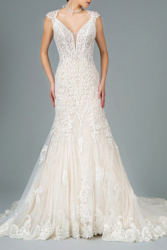 Embroidered Mesh Lace Lining V-Neck Mermaid Wedding Dress