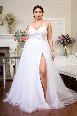 Purity Sheer Bodice V-Neck Wedding Dress with Tail