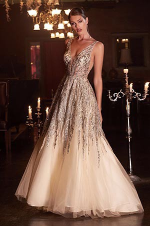 Tulle Champagne Embellished Bodice Sleeveless Gown