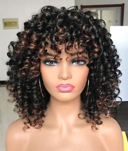 Naucalpan Afro Curly Black Wigs with Highlights