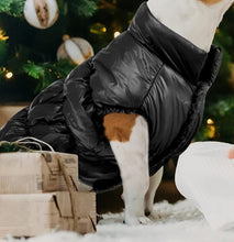 Load image into Gallery viewer, Outdoor Black Vest Lightweight Warm Padded Dog Jacket