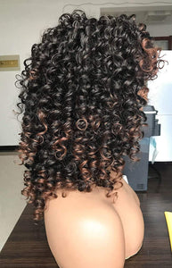 Naucalpan Afro Curly Black Wigs with Highlights