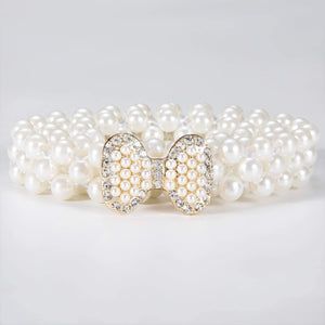 Bow Knot White Buckle Set 2pcs Dress Crystal Rhinestone Belt