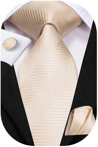 Paisley Novelty Beige Silk Men's Necktie Set