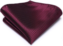 Load image into Gallery viewer, Paisley Novelty Dark Red Silk Men&#39;s Necktie Set