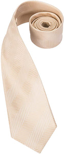 Paisley Novelty Beige Silk Men's Necktie Set
