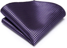 Load image into Gallery viewer, Paisley Novelty Dark Purple Silk Men&#39;s Necktie Set