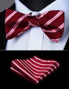 Striped Red Bow Tie Square Pocket Set