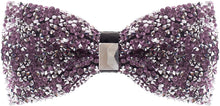 Load image into Gallery viewer, Rhinestone Purple Jewels Pre Tied Sequin Bowties