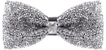 Load image into Gallery viewer, Rhinestone Silver Jewels Pre Tied Sequin Bowties