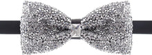 Load image into Gallery viewer, Rhinestone Silver Jewels Pre Tied Sequin Bowties