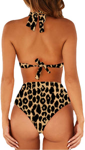Leopard Print High Waist 2 Piece Bathing Suits