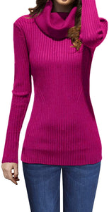 Cowl Neck Plum Long Sleeve Stretchable Sweater